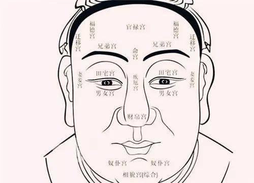 传统国学视角下的解读