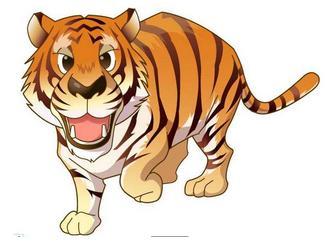 虎人昨日运势如何，吉凶详解？今日运势又是吉是凶，参半吗？