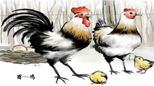 属鸡人2026年会遭遇怎样的桃花运，是否会犯桃花运呢？