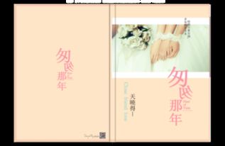 4. 采用修饰词语：