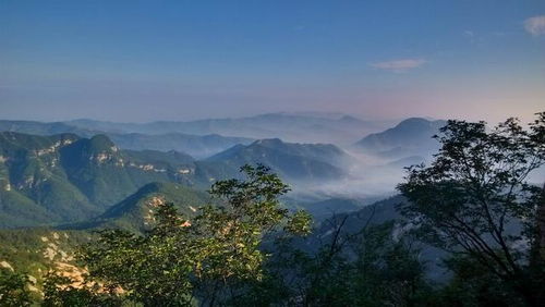 鲁山国家森林公园：树是树, 气是真新鲜!