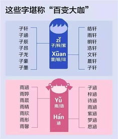 七、 综合评分及价值评估