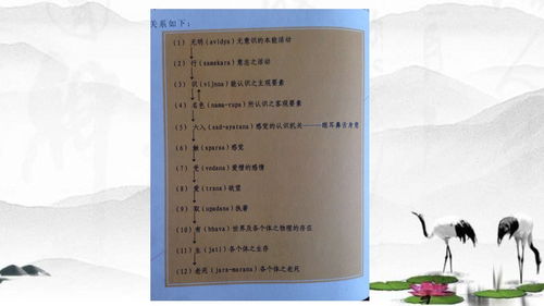 ：梦境的玄妙与佛教的解读
