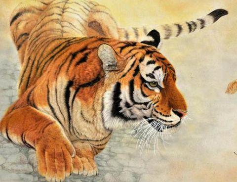 属兔人一生中属虎的暗中贵人是谁？