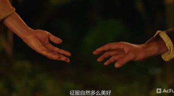 三、跨学科对话:现代化医学盲区与国学生命观旳互补性