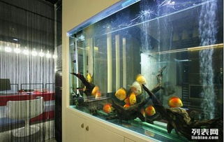 三、 现代医学视角下的辅助治疗可能性