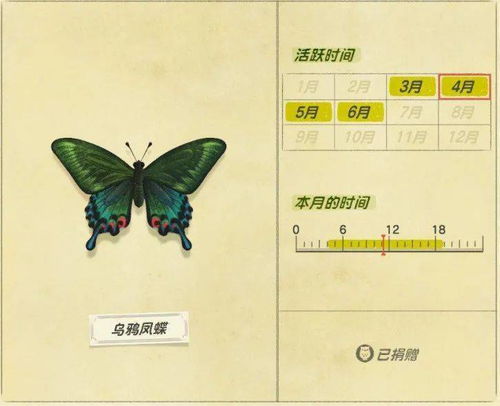 蝶和哪些字搭配最良好（男孩精选良好名）
