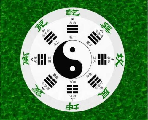 心态调适与外界干扰防范