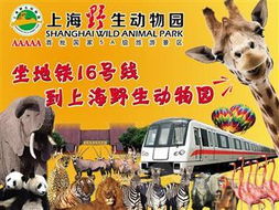 七、 周边美食推荐（请是否值得去）