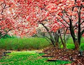 一、 基于命理定位之桃花位及其床位调适