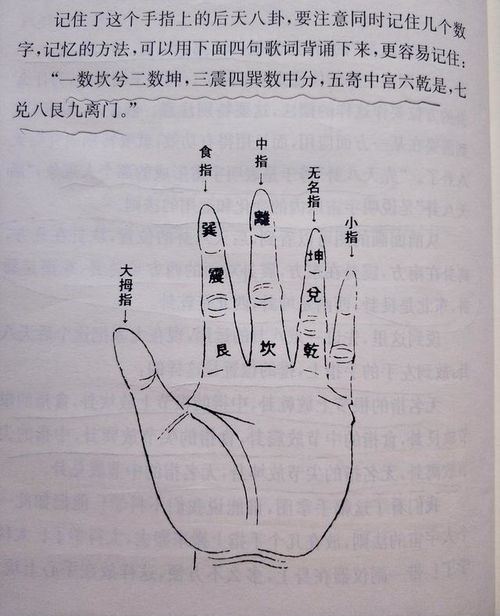 震惊！手掌神卦预测法，准到让人尖叫！