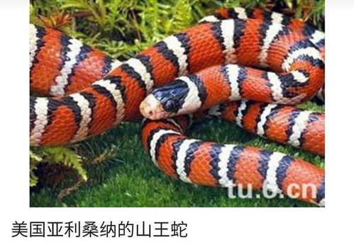 宜用字的选择 —— 这些字根就是宝宝的护身符