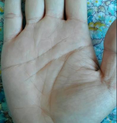 1. 掌纹层面的财富有线