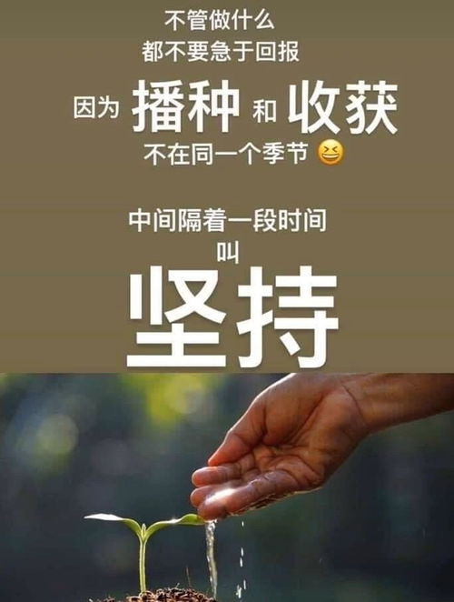 案例背景：困境中的求助