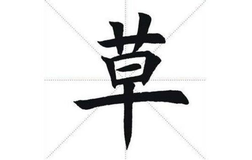 草字头的寓意