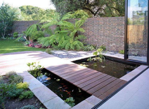 你家院子的破台阶真的能招财吗？笑死人了！