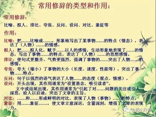 对童子命认知的历史溯源与多元解读