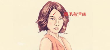 一、 狐狸眼之定义与性格映射