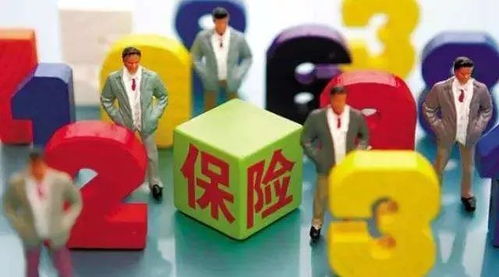 你见过比这更离谱的 insurance 名字吗?我反正服了