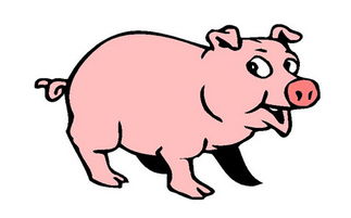 十二生肖猪的运势中，招财转运的吉祥物具体指什么？