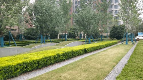 二、  文化底蕴解读：从中国传统方式文化底蕴中寻找线索