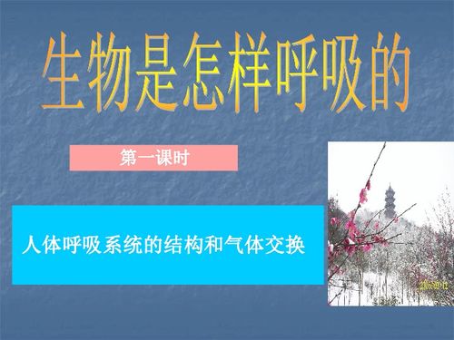 2.1 具体实践方法及其科学研究依据