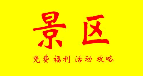 春节旅行的狂欢与困惑