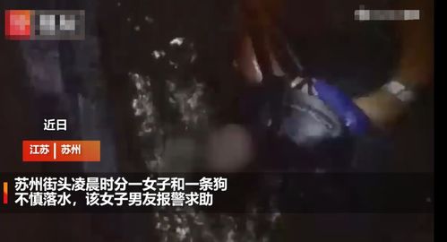 缘起：一场突如其来的坠落与阴司断案