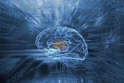 六、 现代科学视域下的跨学科融合