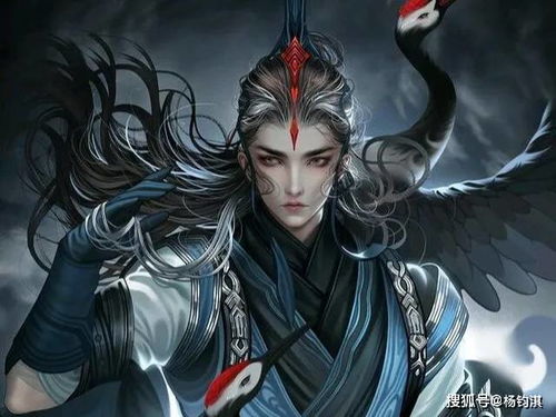 进阶技巧：