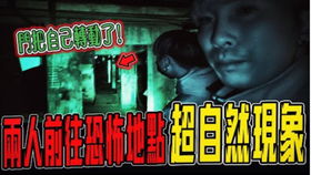 音乐作品与网络平台引用