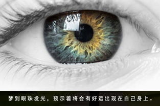 二、 古籍记载中的细节分类——颜色、形态与情境的对应关系