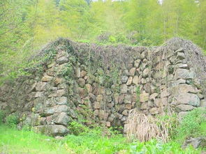 终极风水布局大法