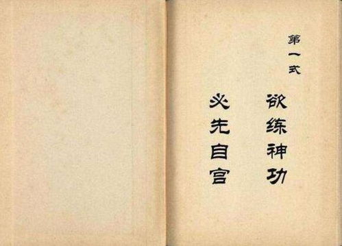 1) 传统方式医药与武功相融现象