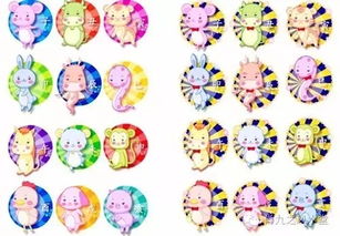 如何为属龙女宝宝起一个既吉祥又好听的微信昵称？