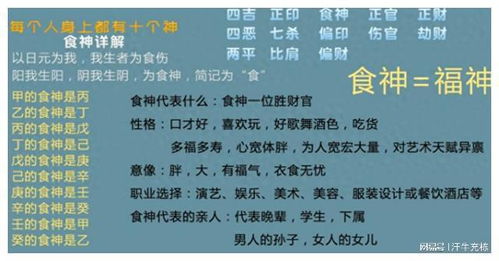 性格特质的解读：食神旺相与弱衰之辨