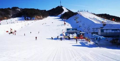 价格套路深似海 不如回家啃白菜