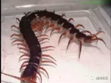 二、 对商业活动及投资决策的警示