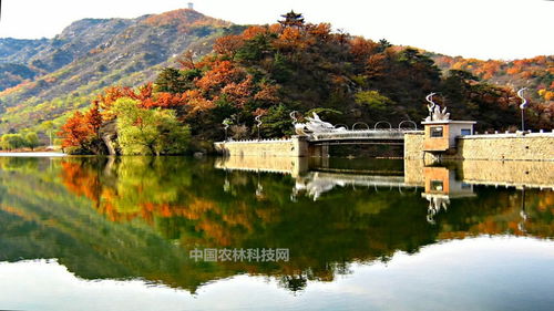 特产：土特产大赏