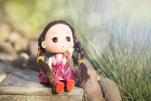 属狗五行缺水火八字喜火，缺水缺金的男孩名字有哪些推荐？