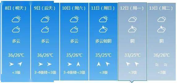 3. 环境整洁度与生机元素的引入