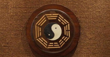 我的八字年月日柱都是偏财，日柱偏财正财伤官，这是什么命理特征呢？