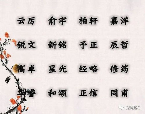 三、 起名注意事项——你真实的会起名字吗?