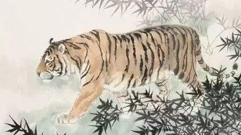 属虎女性：威严体态与家运提升之间的内在联系