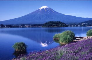 第一步：选择你的“死法”——交通篇