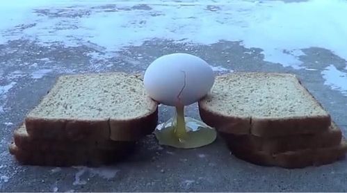 世界上有多少种不同名称的蛋？