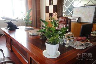 1. 茶桌颜色与命理对应