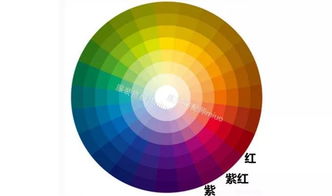 生肖文化视角下的色彩审美——以马年为例