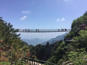 栈道骗局：透明玻璃底下埋着多少套路？