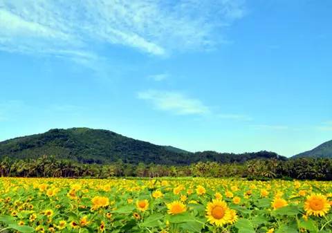这个地方有毒！来了就走不了！